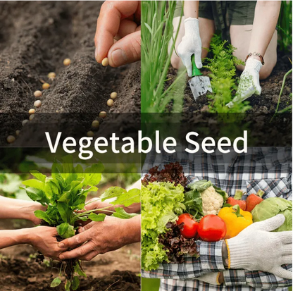 Último día: 49% descuento en el kit de semillas🔥10 variedades vegetales - macetas en casa