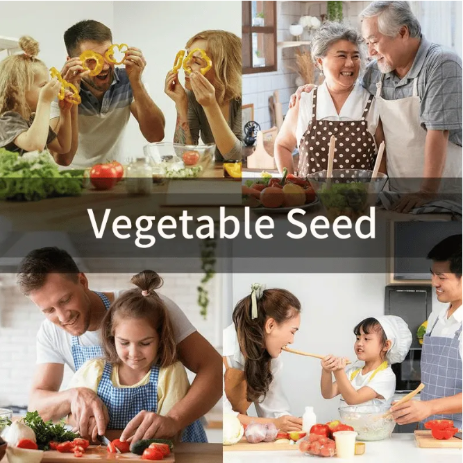 Último día: 49% descuento en el kit de semillas🔥10 variedades vegetales - macetas en casa