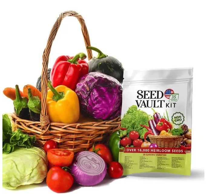Último día: 49% descuento en el kit de semillas🔥10 variedades vegetales - macetas en casa