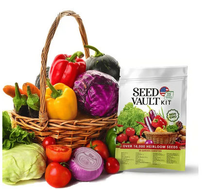 Último día: 49% descuento en el kit de semillas🔥10 variedades vegetales - macetas en casa