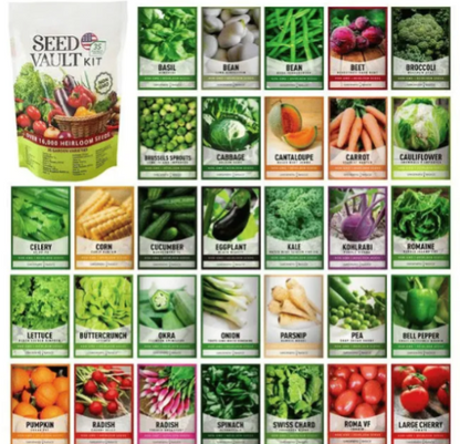 Último día: 49% descuento en el kit de semillas🔥10 variedades vegetales - macetas en casa